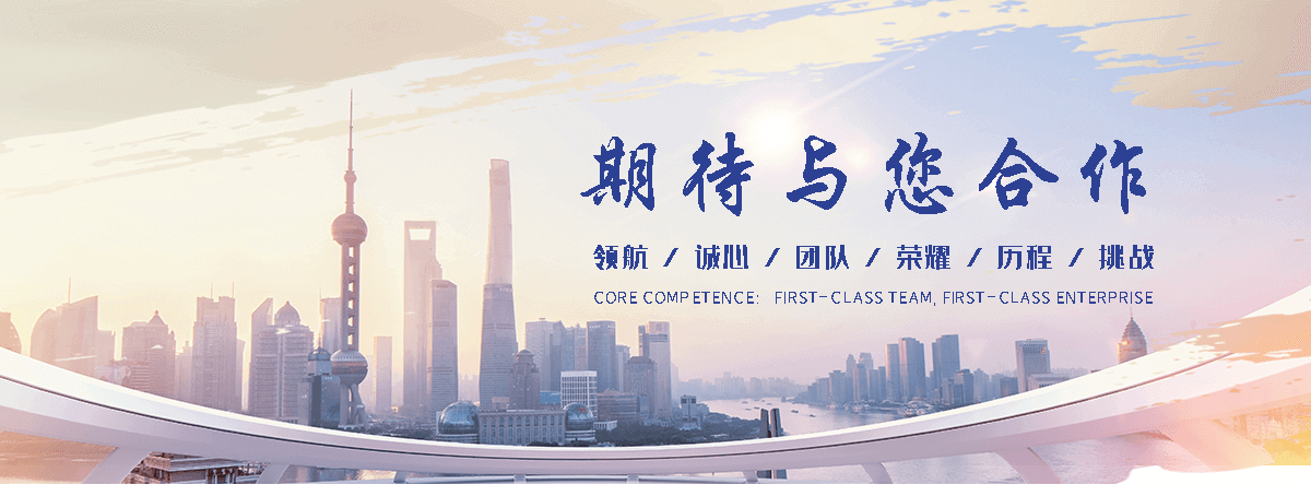 泰安海狮租赁公司